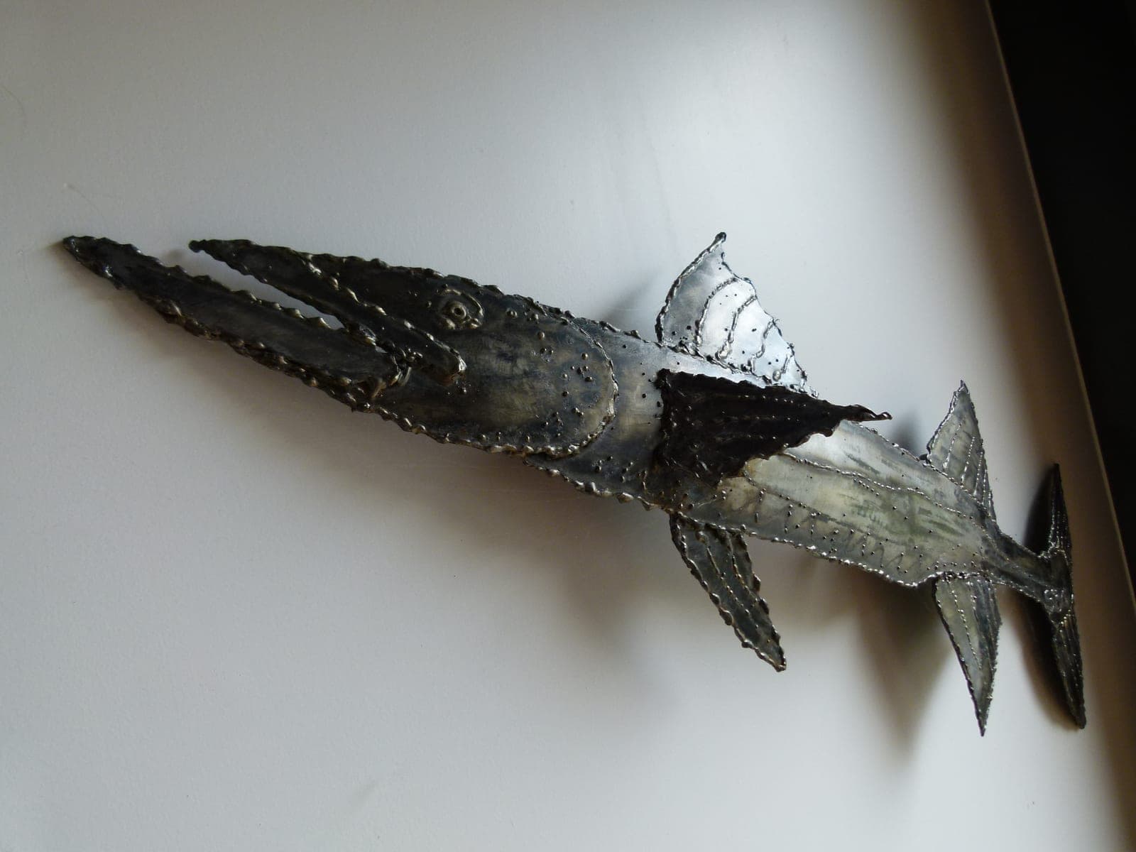 Barracuda